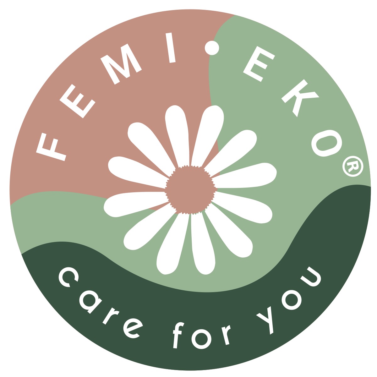 Logo for FemiEko.com